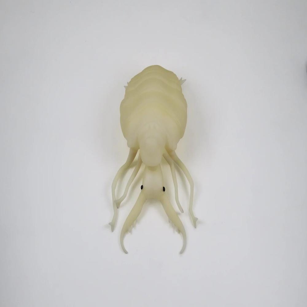 ���ꥸ�������߸���