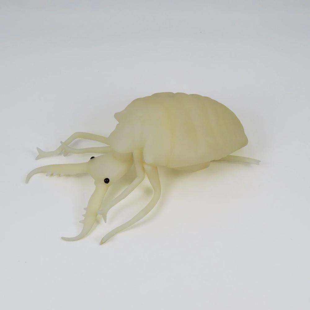 ���ꥸ�������߸���