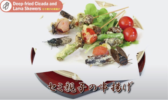 �ڹ񻺡����� ���ޥ��� ���� 10ɤ