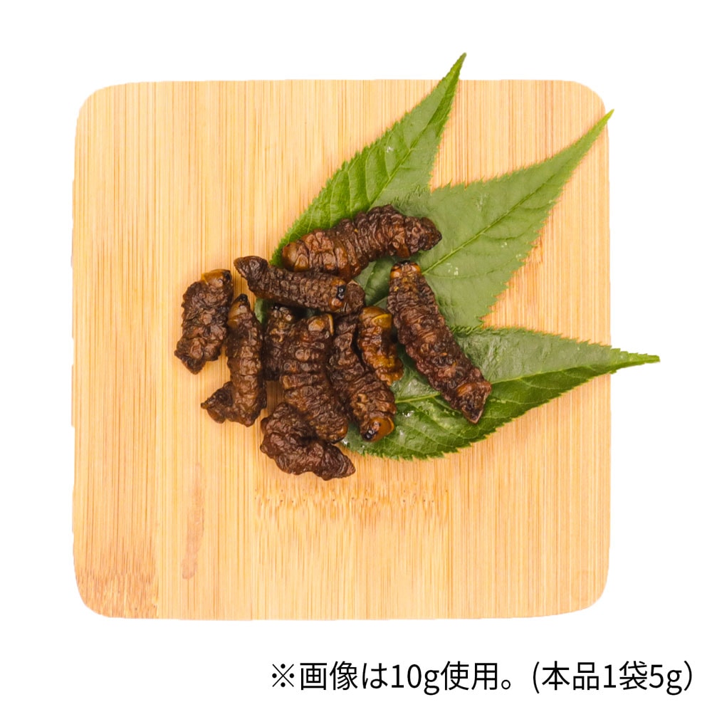 Mopane Worms(��ѥͥ��) x 10��