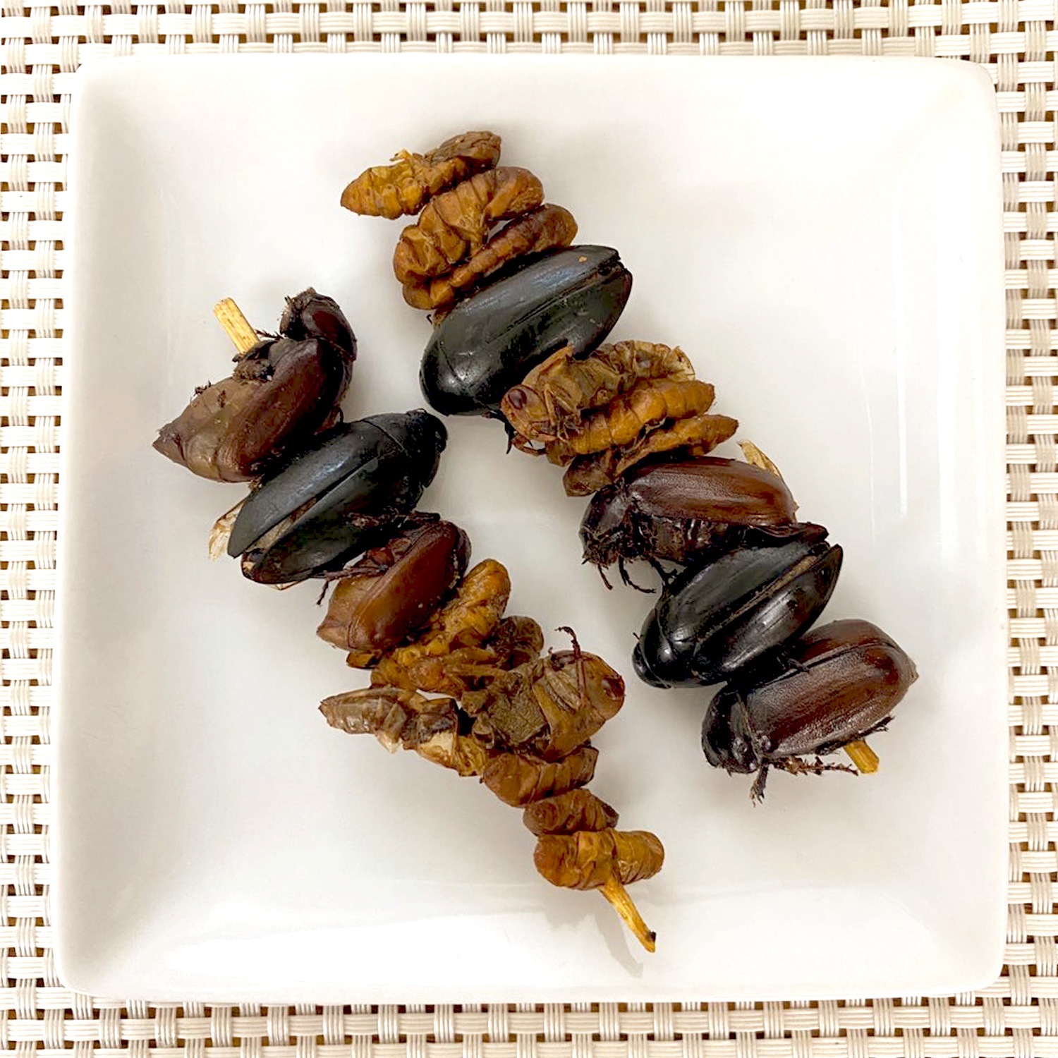 Bug Kebab(�����ͥॷ��������ࡢ���륯��ॵ�ʥ������饹�ۥåѡ�)