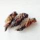 �ھ�̣���´ֶ�ΰ�50��OFF�� ��̣���¡�2026.10.20 Black Crickets15g(�ե��ۥ���������15g)