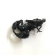 Black Scorpion(㥰)