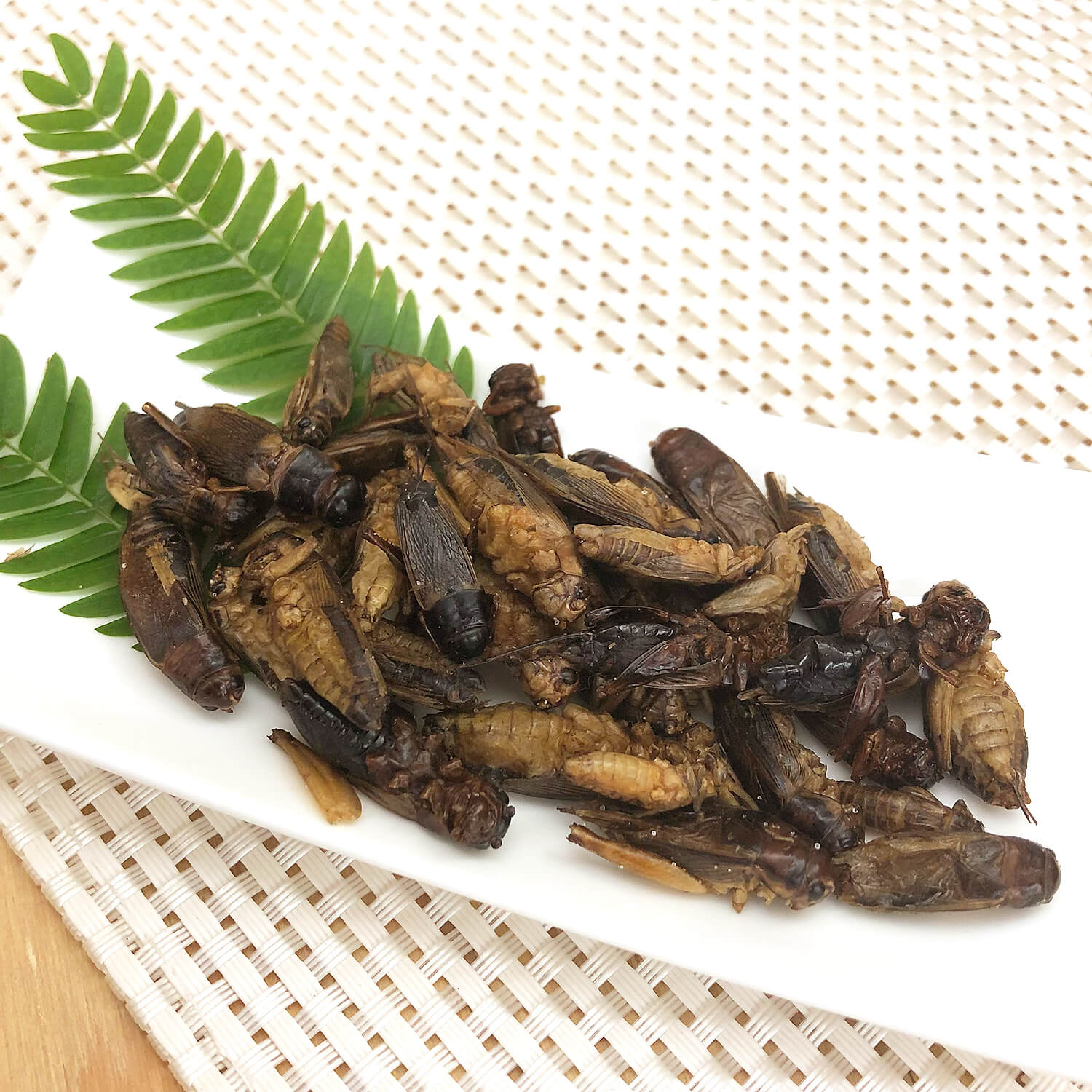 �ھ�̣���´ֶ�ΰ�60��OFF�� ��̣���¡�2026.4.26 Cricket Mix 15g (���������ߥå���15g)