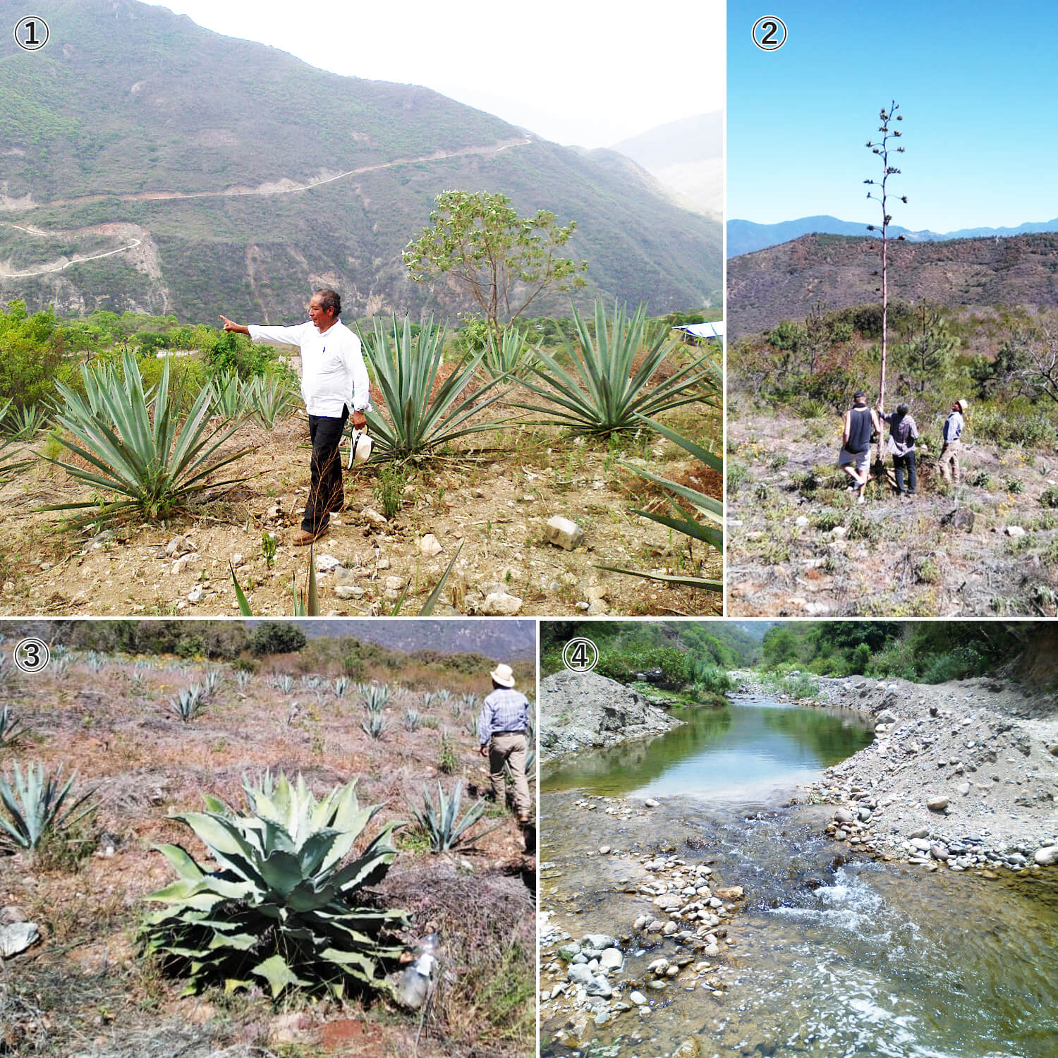  ԥå ԥ󡦥ҥ 40% 750ml(եȥ)