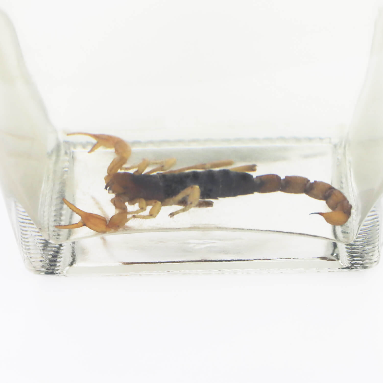  ԥå ԥ󡦥ҥ 40% 750ml(եȥ)