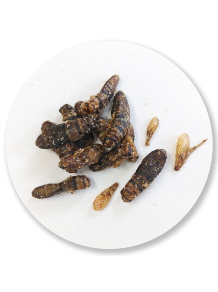 �����ѡ������������Ĥޤ�02-�ԥ� x 40��