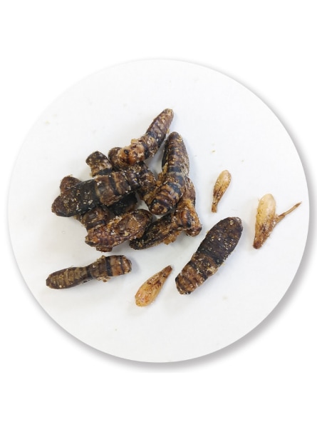 �����ѡ������������Ĥޤ�04-�蘆�� x 40��