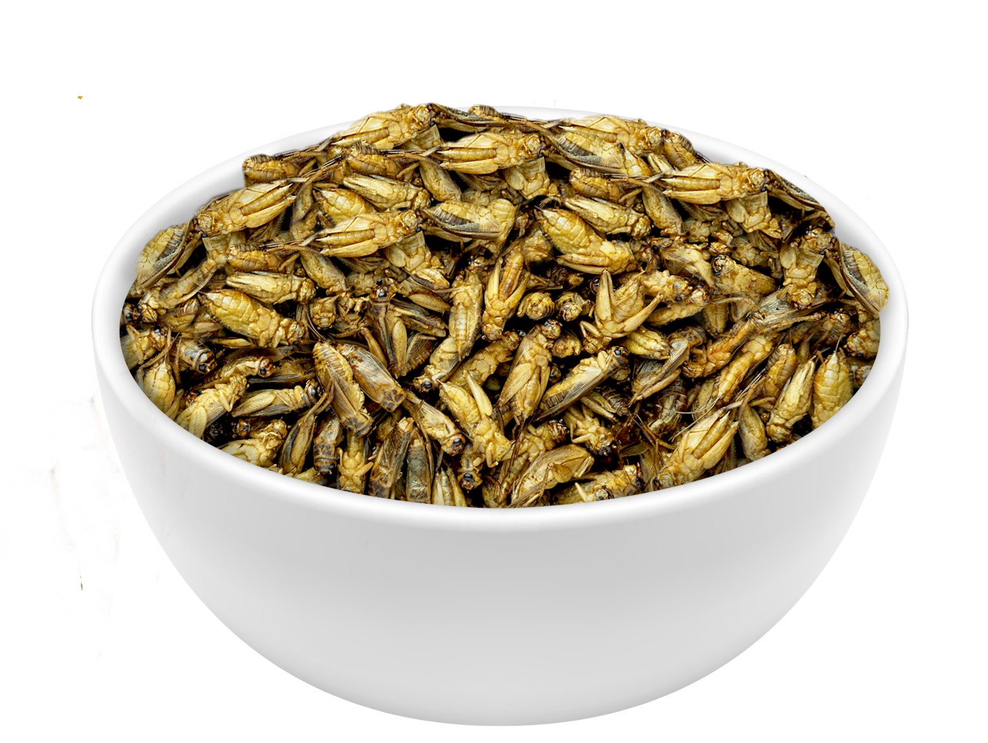 HISO(�ϥ���)���ꥹ�ԡ����⡼�륯�ꥱ�å�(BBQ�ե졼�С���  1��������36������