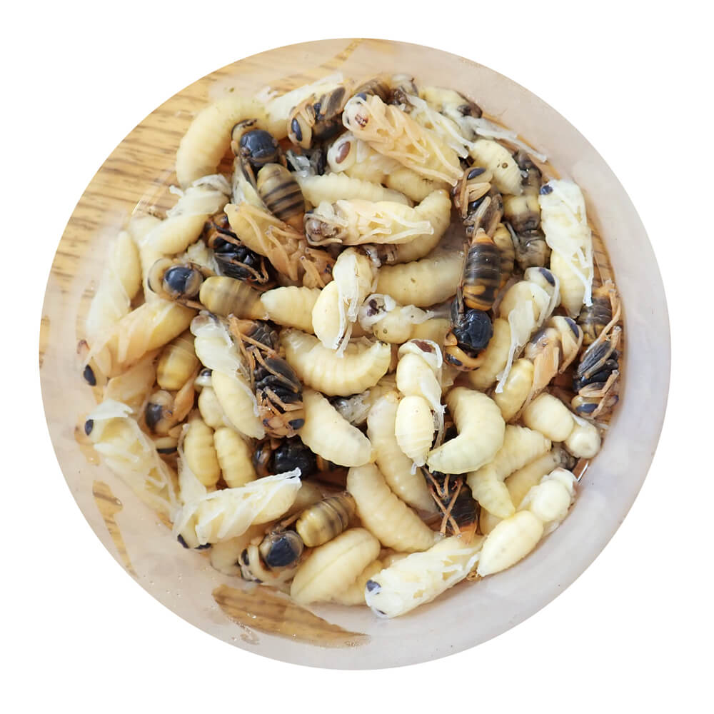 �ڹ񻺡����� ������������Х� ���ʤ� (100g)