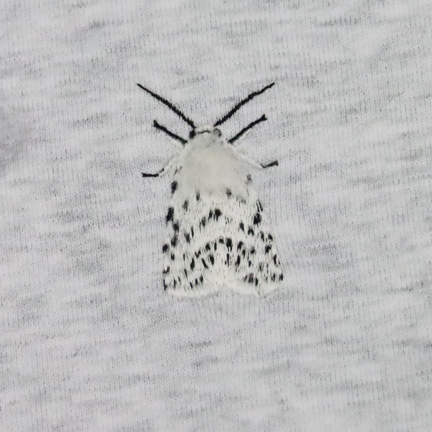 ���ޥ���ҥȥ�ɽ����������å�