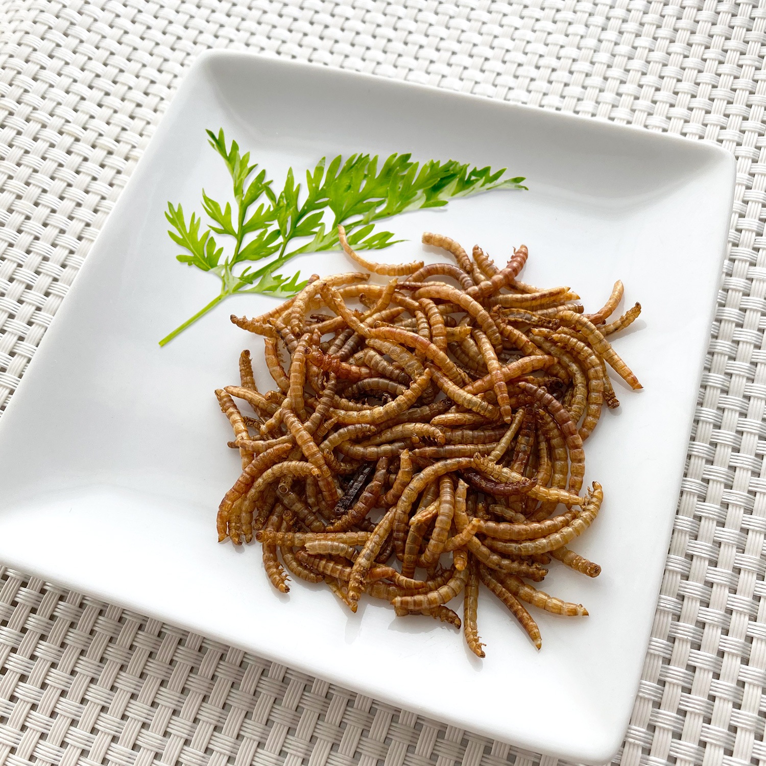 Mealworms(�ߥ���)x 10��
