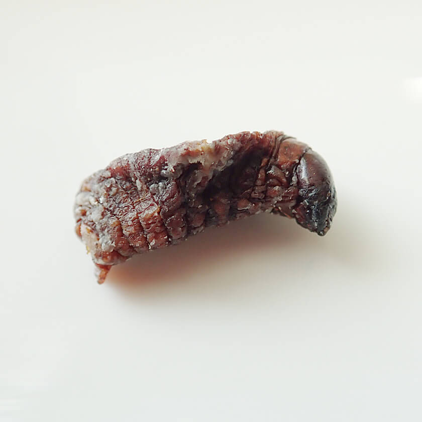 SagoWorms(�������)