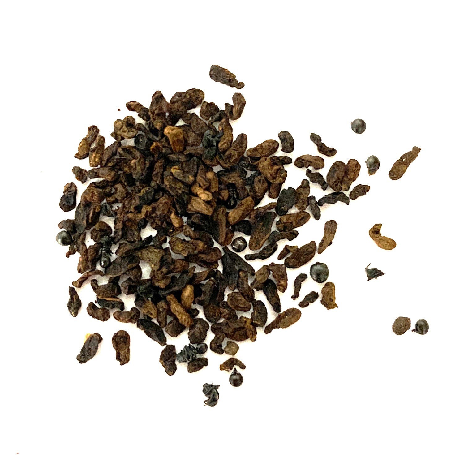 �ھ�̣���¡�2026.8.20�ޤǡ���̣���´ֶ�ΰ�60��OFF��Black Ant Eggs 10g(������Υ��ޥ�10g)