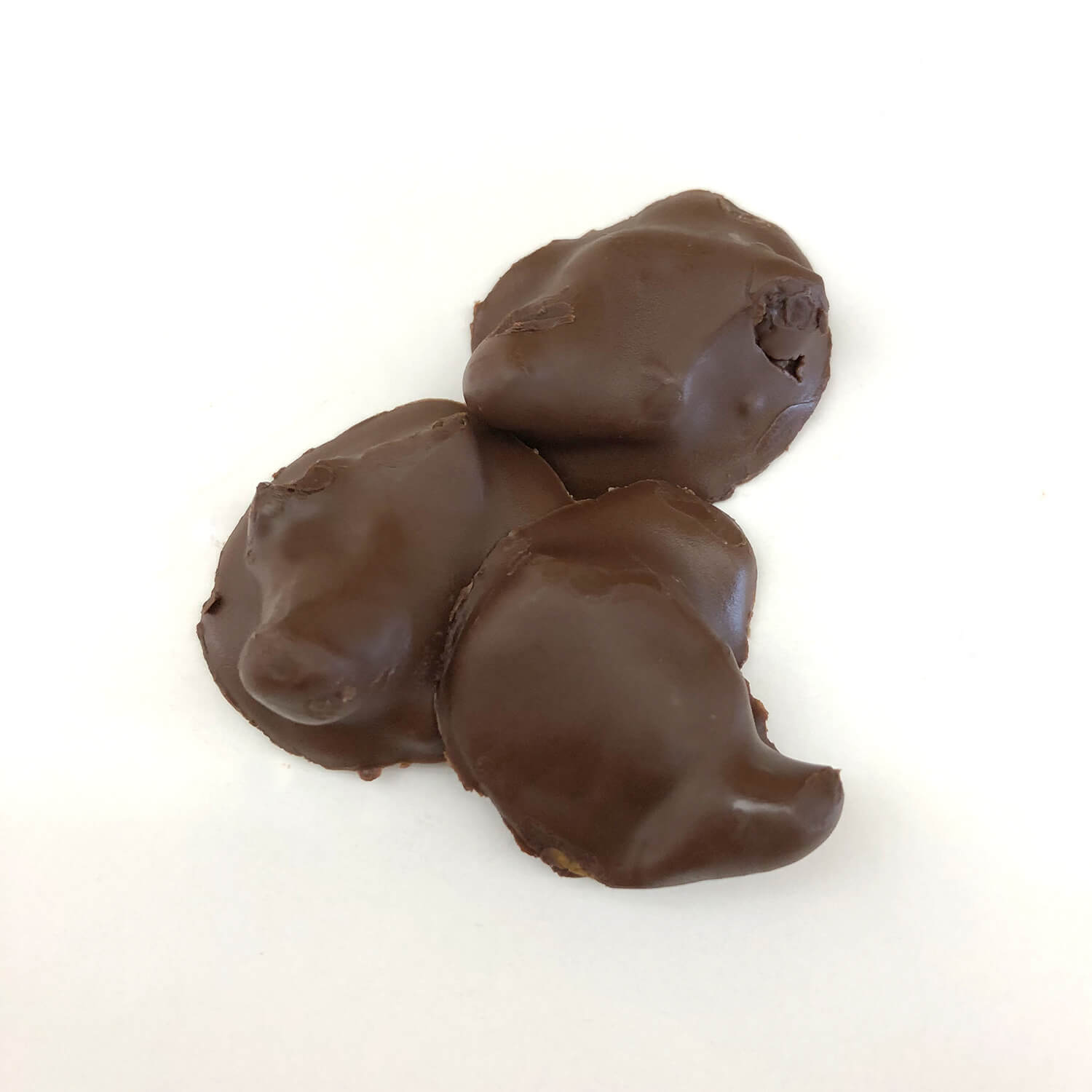 Chocolate coated Sagoworms(祳졼ȥ)