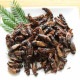 ��̳�ѥ����� Black Crickets1kg(�ե��ۥ������������� �ɥ饤��1kg)