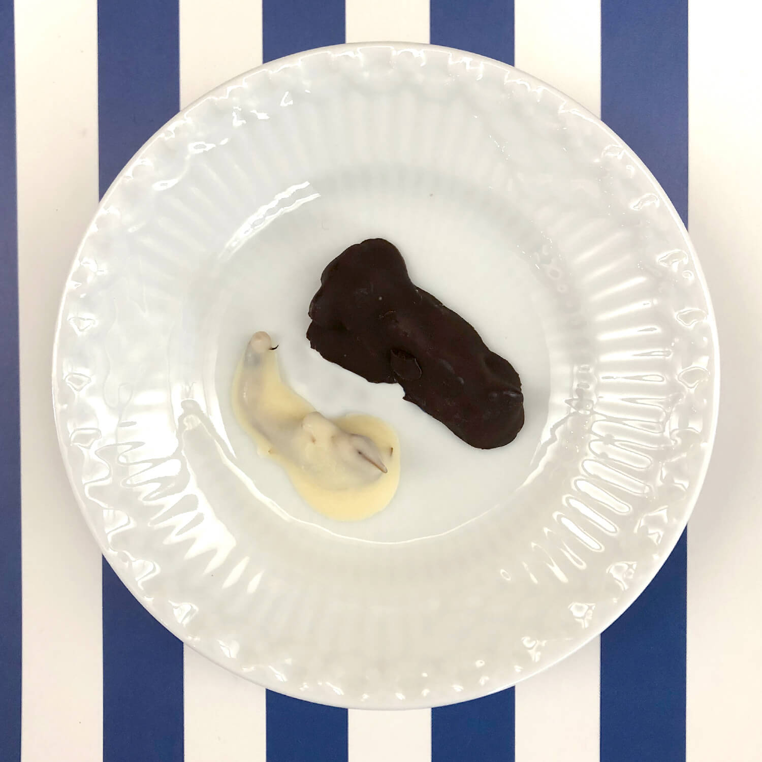 Yin Yang Scorpions (ۥ(ۥ磻ȥ祳ߥ֥å祳)