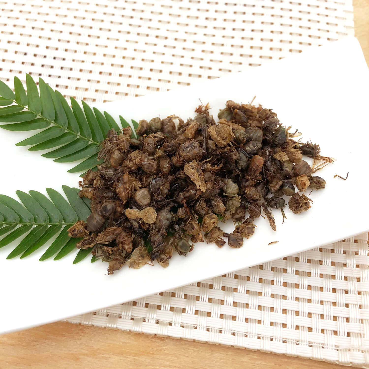 �ھ�̣���¡�2026.6.20�ޤǡ���̣���´ֶ�ΰ�50��OFF��Queen Weaver Ants 10g (�����ĥ८����10g)