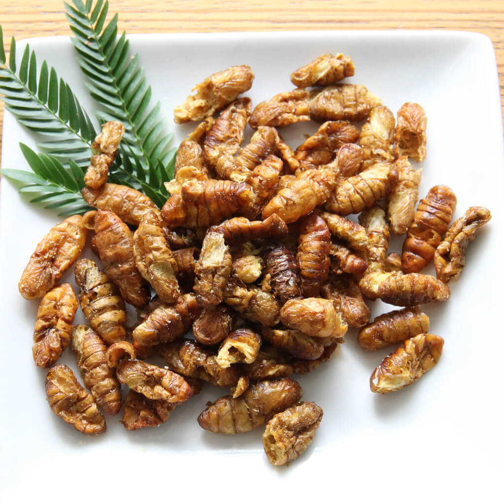 ̳ѥ Silkworm Pupae 1kg(륯  ɥ饤 1kg)