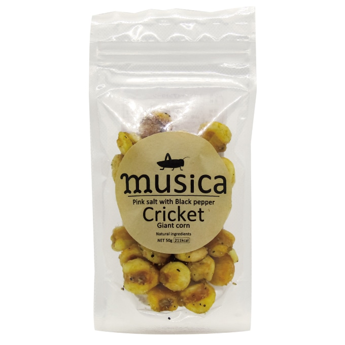 musica[�ॷ��] �ԥ󥯥���ȡ��֥�å��ڥåѡ� �������� ���㥤����ȥ�����