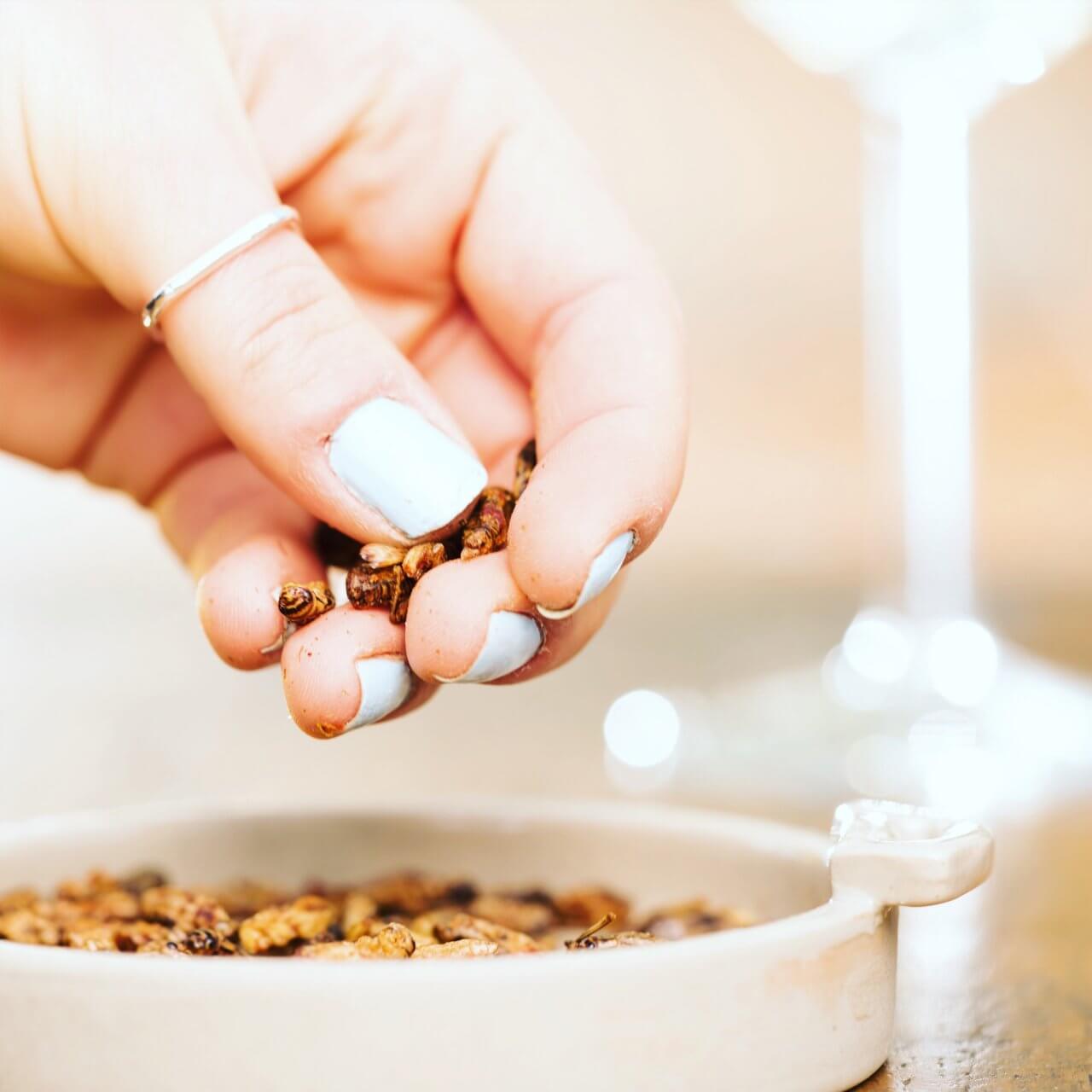 Eat Grub ����󥭡� �������� ���ꥱ�å� BBQ 1������12����