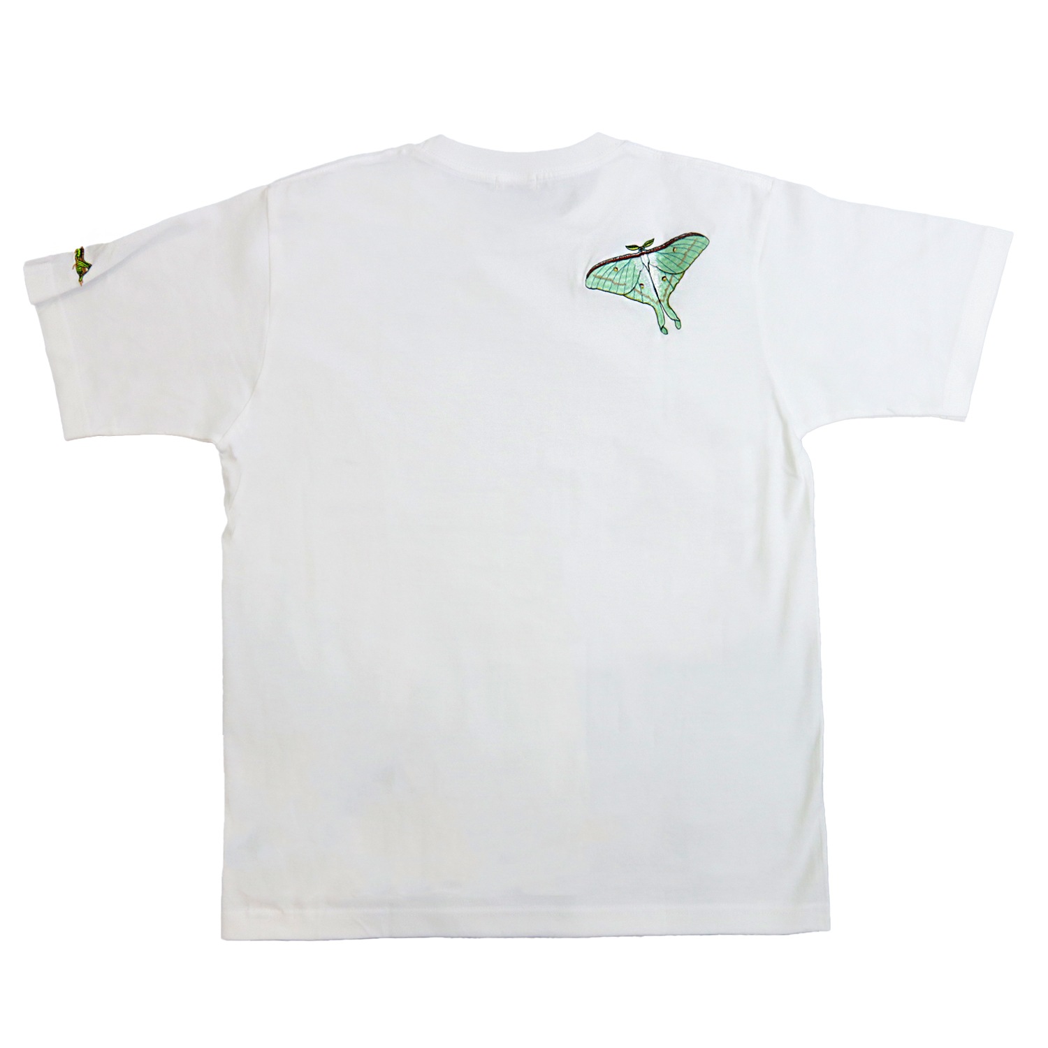 �����ߥ����� �Хå��ɽ� T�����