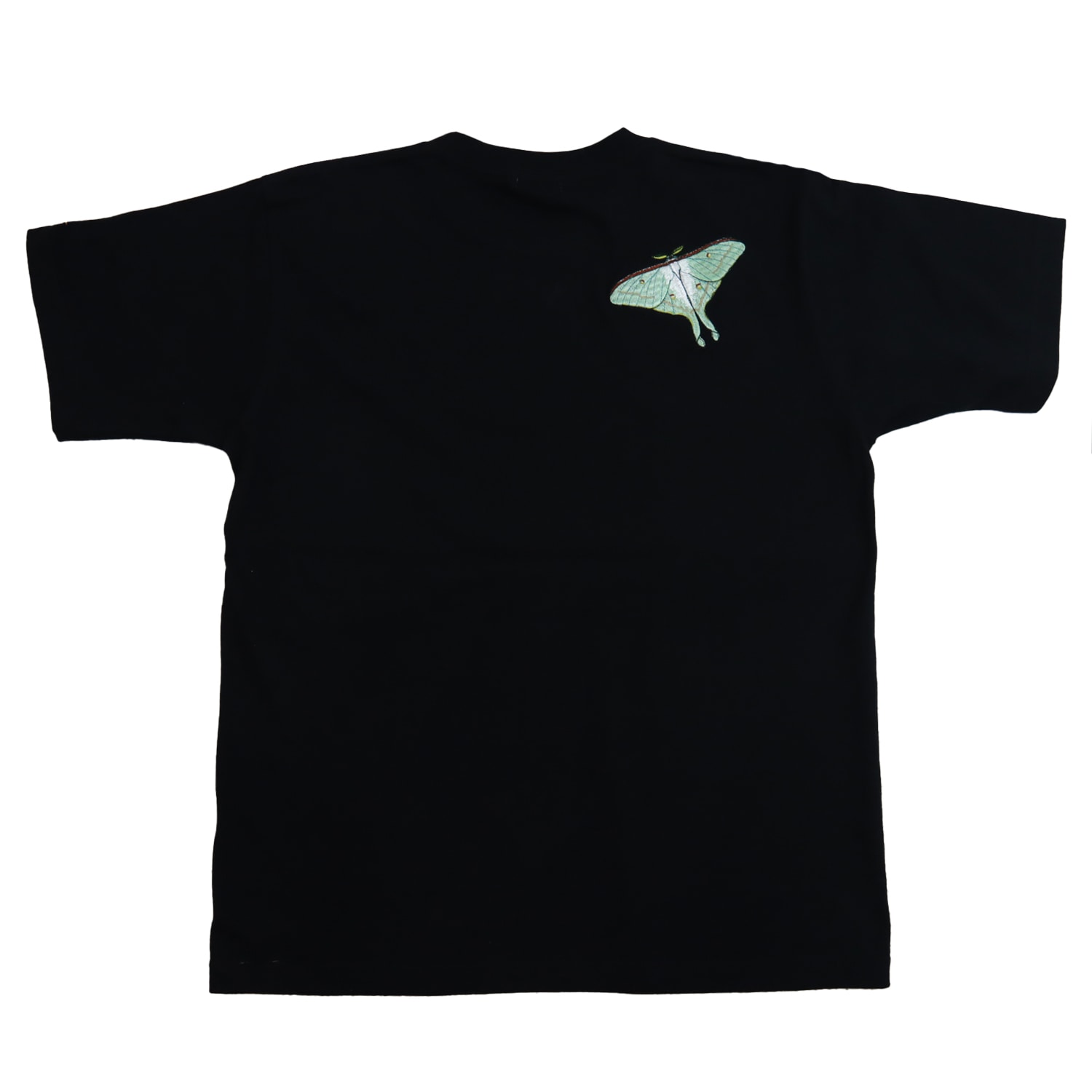 �����ߥ����� �Хå��ɽ� T�����