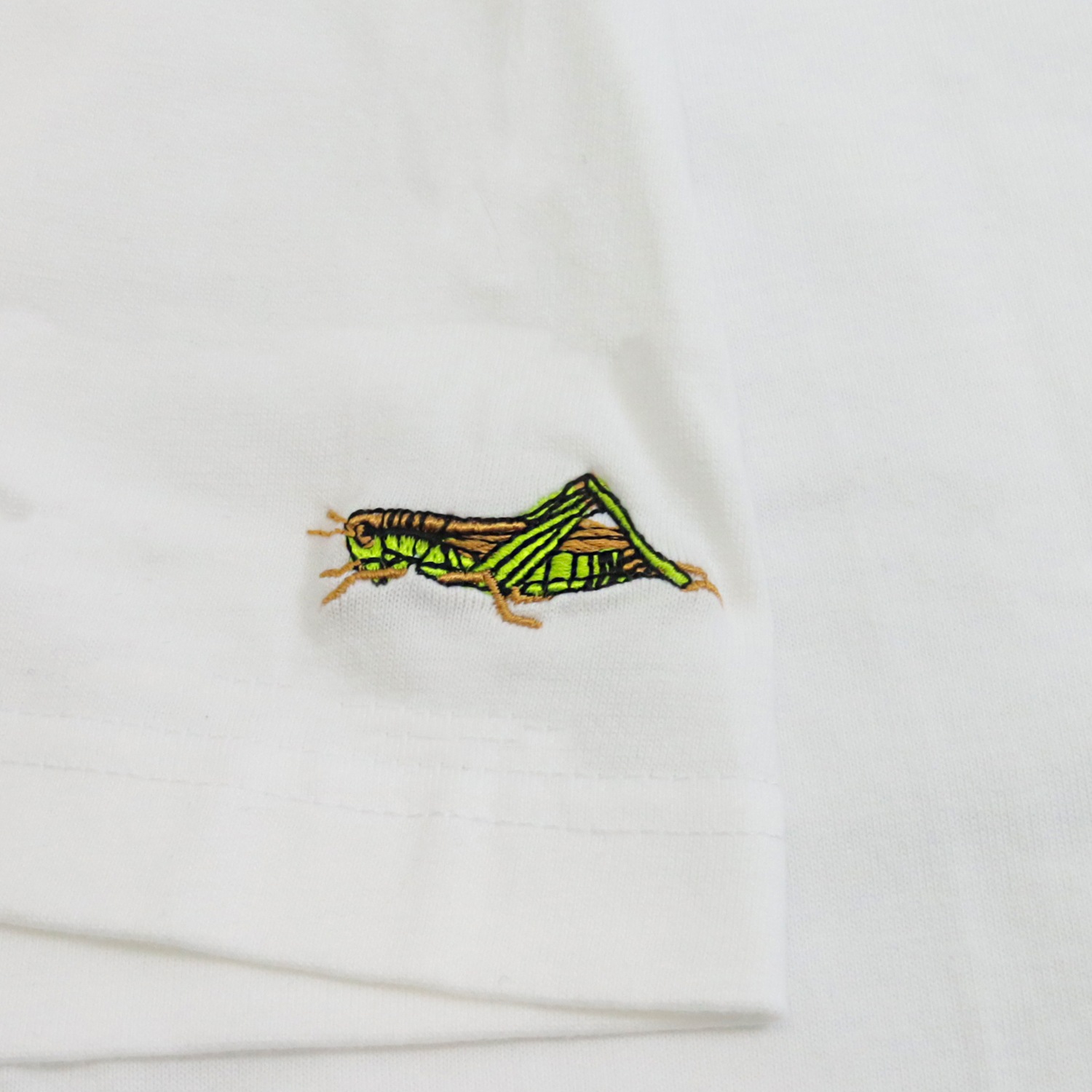 �����ߥ����� �Хå��ɽ� T�����