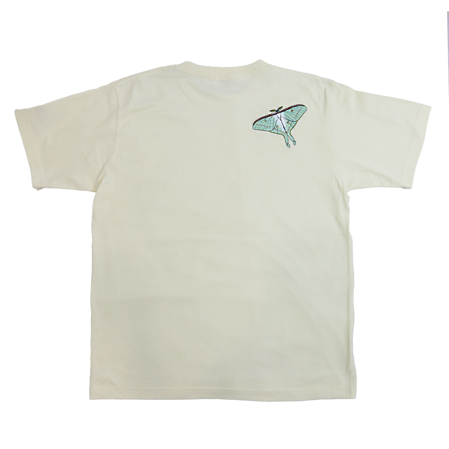 �����ߥ����� �Хå��ɽ� T�����