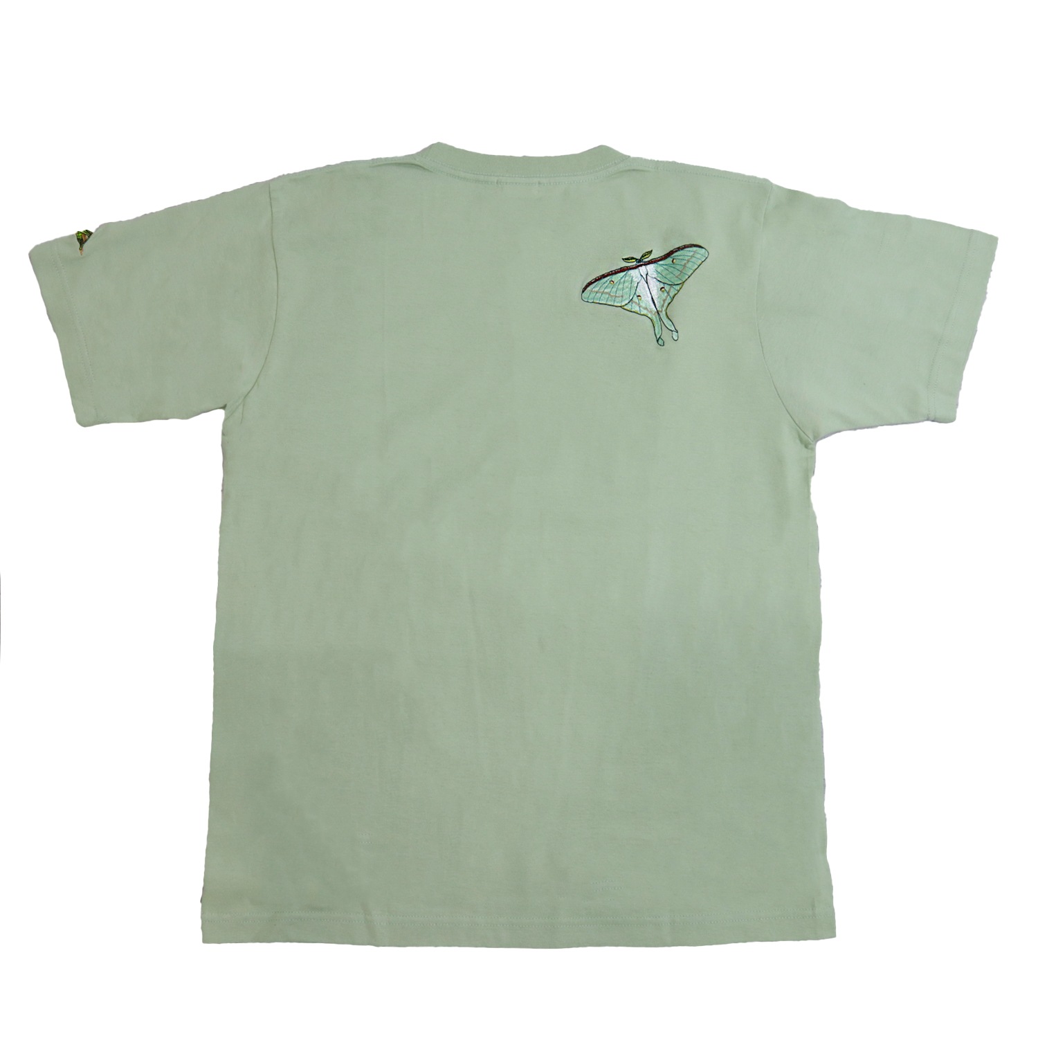 �����ߥ����� �Хå��ɽ� T�����