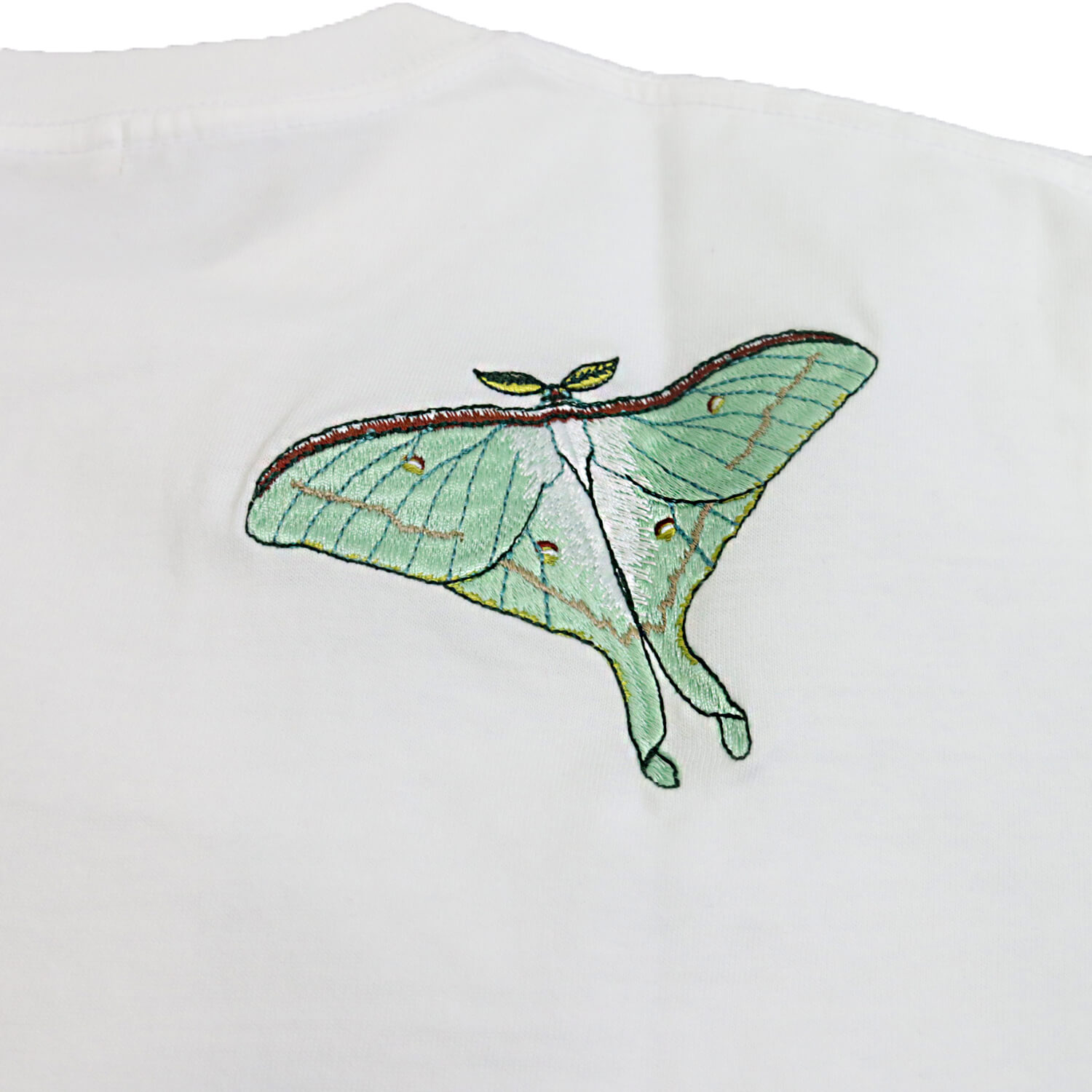 �����ߥ����� �Хå��ɽ� T�����