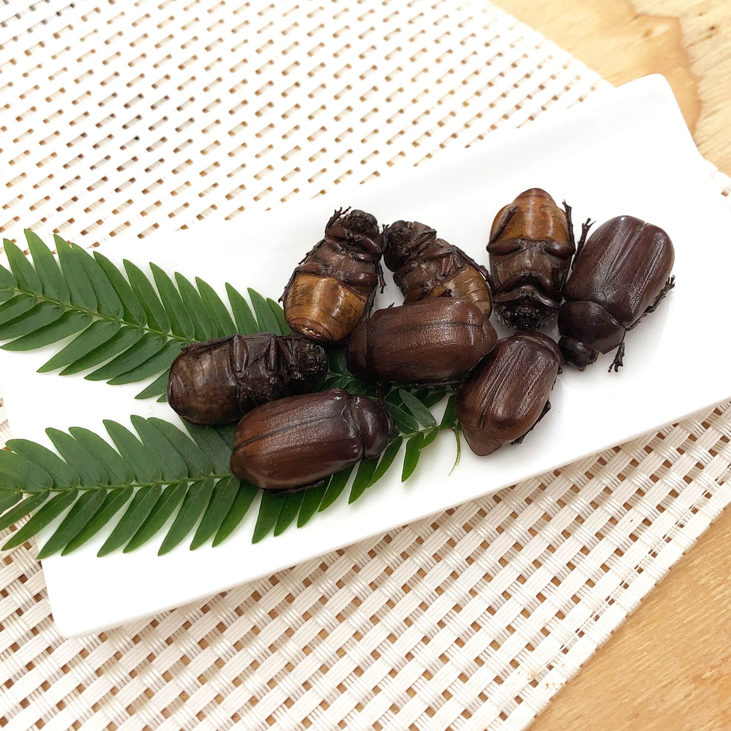 ��̳�ѥ����� Small June Beetles 1kg (�����ͥॷ �� �ɥ饤 1kg)