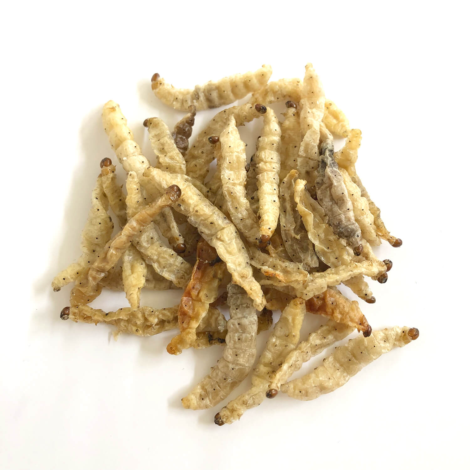 ��̳�ѥ����� BambooWorms 1kg(�Х�֡���� �� �ɥ饤 1kg)