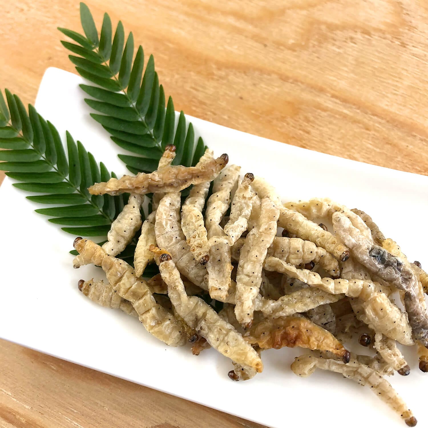 ��̳�ѥ����� BambooWorms 1kg(�Х�֡���� �� �ɥ饤 1kg)