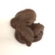 Chocolate coated black crickets(祳졼ȥ)   x  10