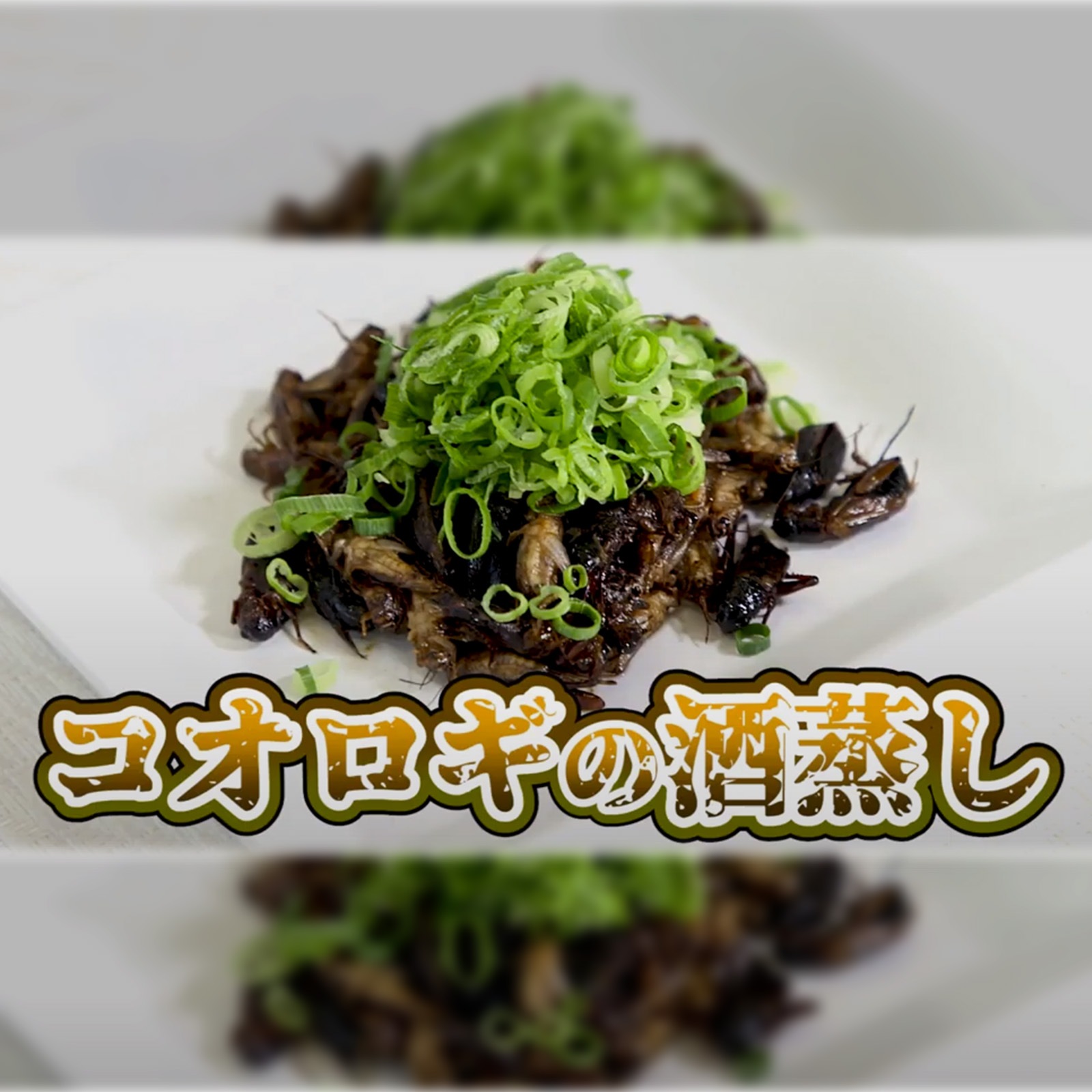 ڥȥȡۥեۥ(֥å)75g