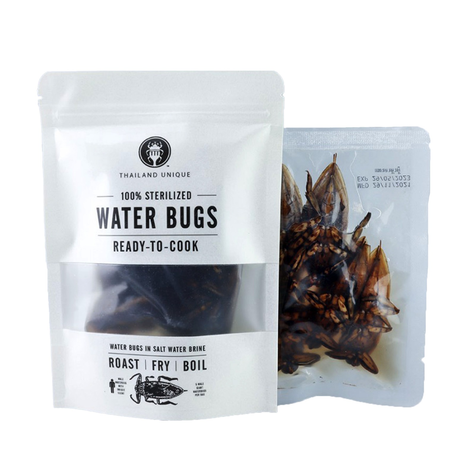 �ڥ�ȥ�ȡۥ����ᡡ�᥹��5ɤ