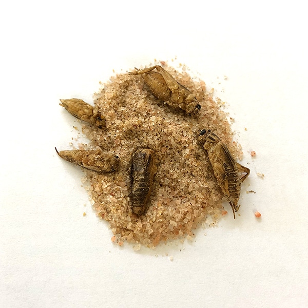 ����������50g 1��������12������