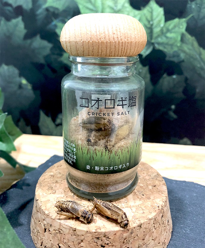 ����������50g 1��������12������