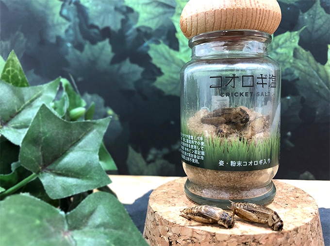 ����������50g 1��������12������