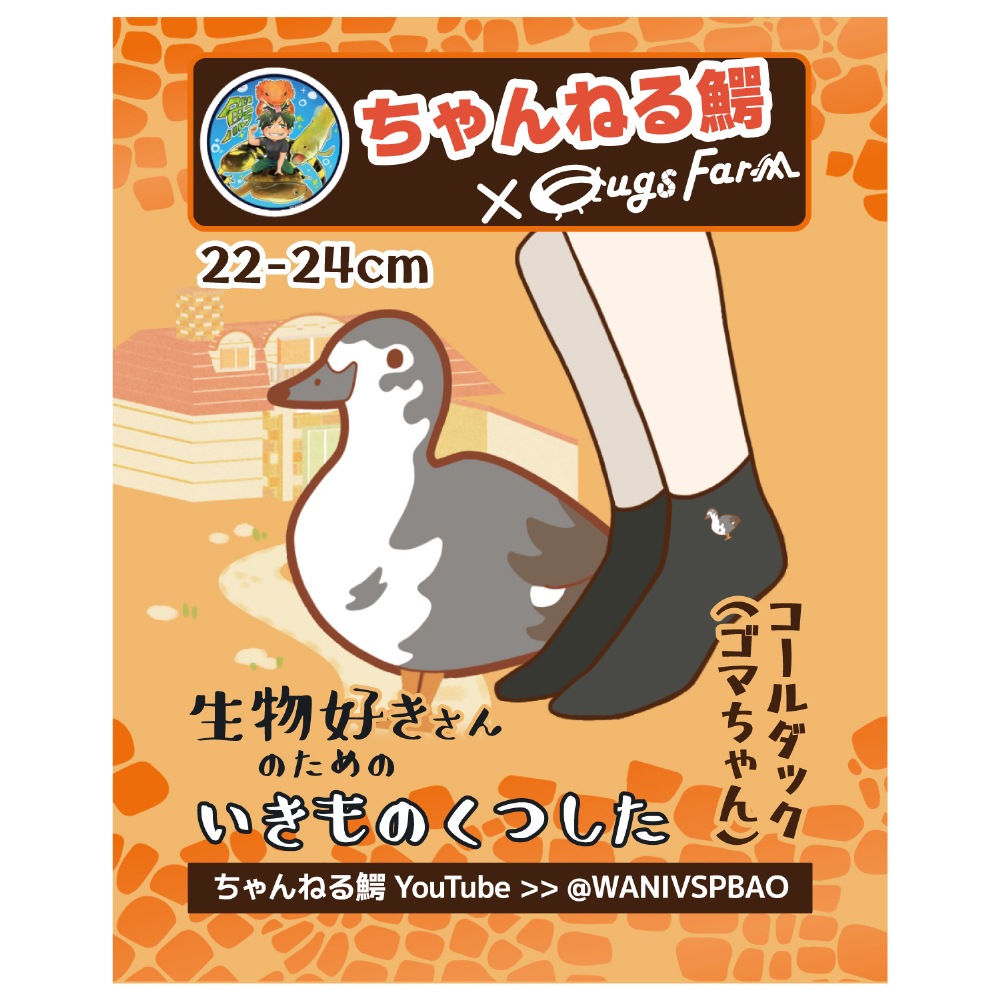 ڤͤ  ʪΤΤΤĤ å by ͤ 