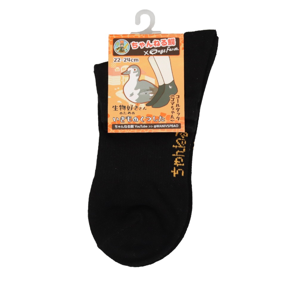 ڤͤ  ʪΤΤΤĤ å by ͤ 