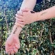  ȥ롡ڲ 01