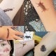  ȥ롡ں01