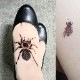  ȥ롡ں01