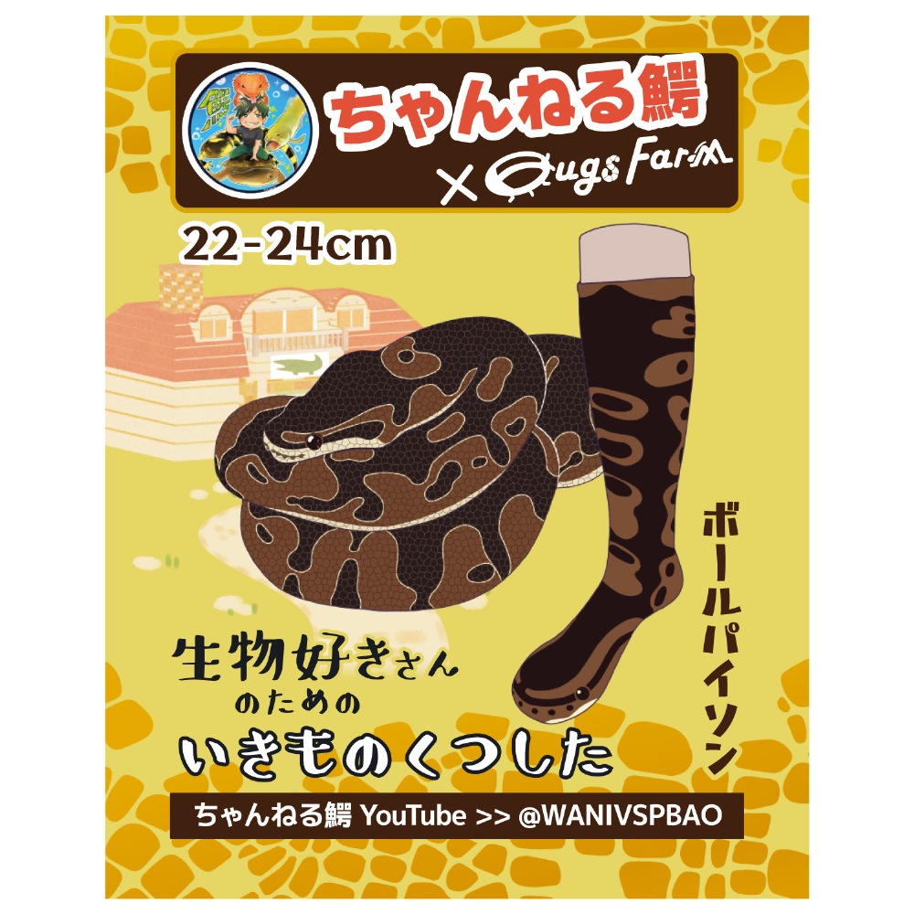 ڤͤ  ʪΤΤΤĤ ܡѥ by ͤ