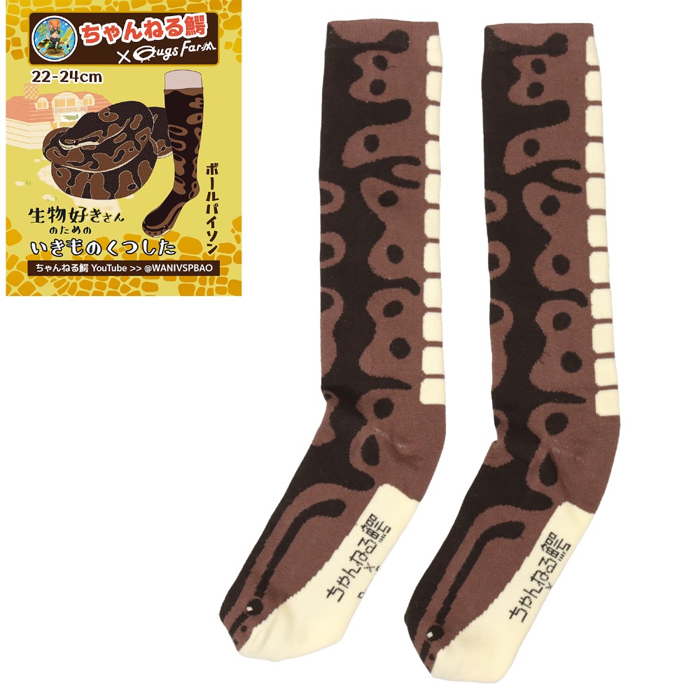 *日本未発売* Kikillo Why is that 1_000000001083.jpg?1744709234