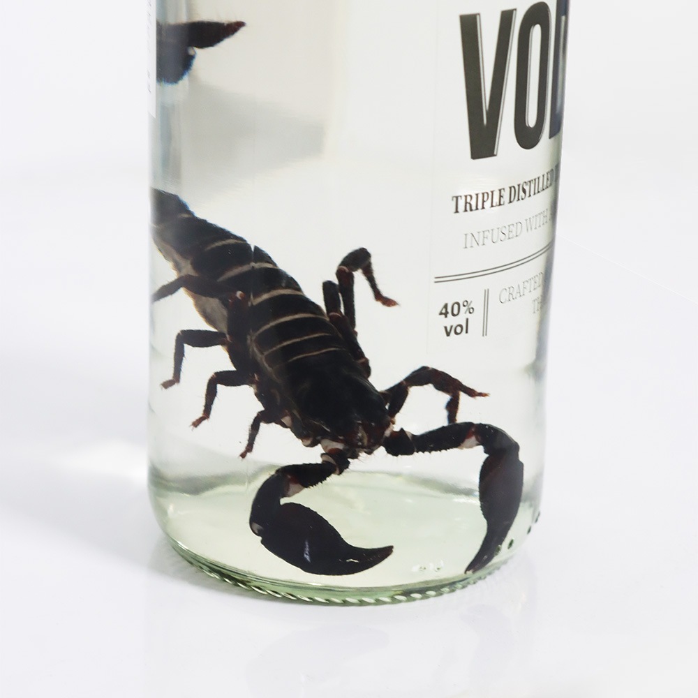 ֥åԥ å 700mL Alc.40 (BLACK SCORPION VODKA)
