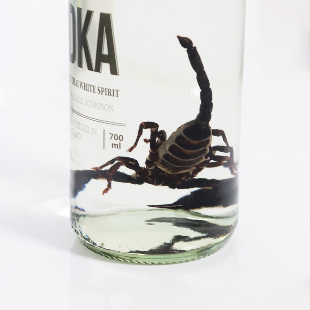֥åԥ å 700mL Alc.40 (BLACK SCORPION VODKA)