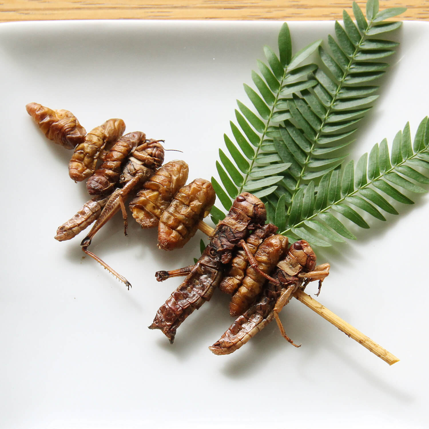 2 Bug Kebab(륯饹ۥåѡХ)  x 10